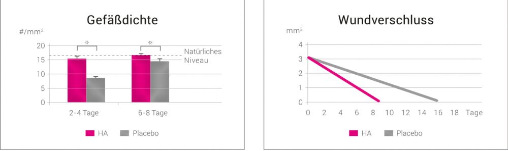Wund- und Gewebeheilung